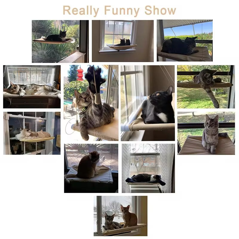 Foldable Cat Window Perch Bed Hammock Cat Window Wall Perch Hammock Seat with 4 Strong Suction Cups