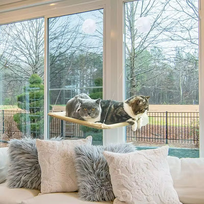 Foldable Cat Window Perch Bed Hammock Cat Window Wall Perch Hammock Seat with 4 Strong Suction Cups