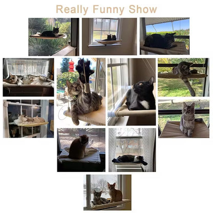 Foldable Cat Window Perch Bed Hammock Cat Window Wall Perch Hammock Seat with 4 Strong Suction Cups